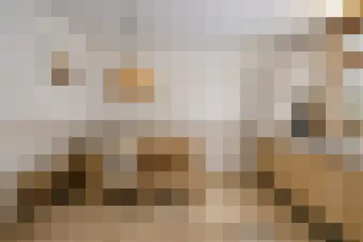Tusseler 85 Lochem thumbnail 13
