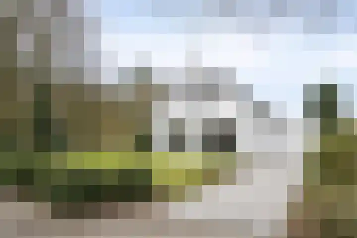 Tusseler 85 Lochem thumbnail 50