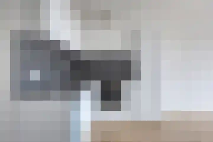 Tussen Meer 272 Amsterdam thumbnail 11