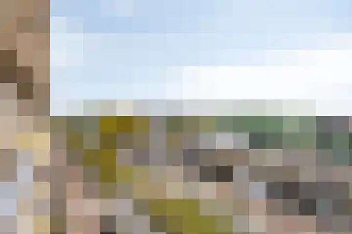 Tussen Meer 272 Amsterdam thumbnail 18