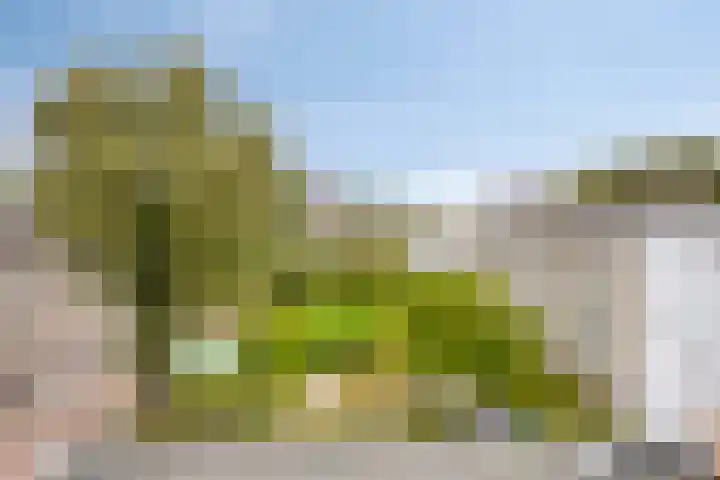 Tussen Meer 272 Amsterdam thumbnail 29