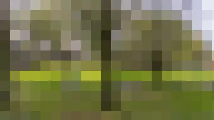 Tussendek 61 Amsterdam thumbnail 14