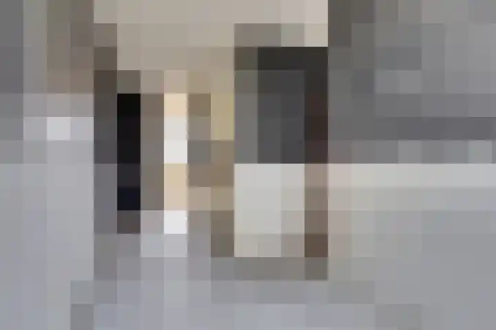 Tussendek 61 Amsterdam thumbnail 15