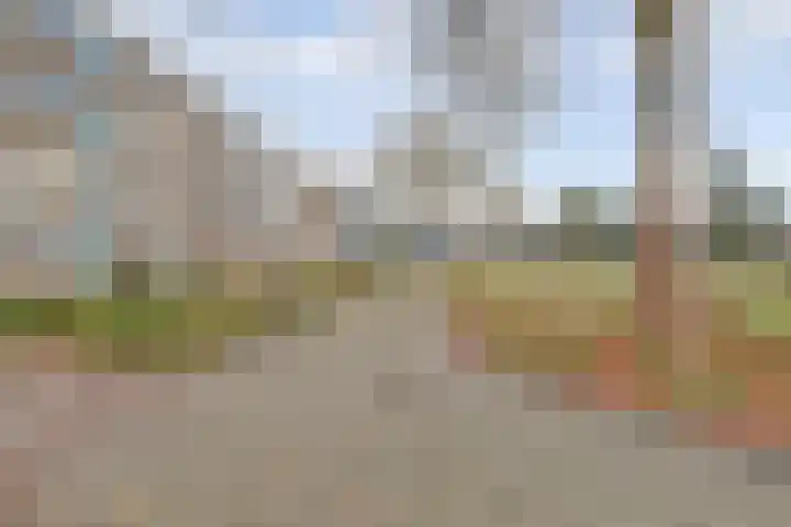Tussendek 61 Amsterdam thumbnail 4