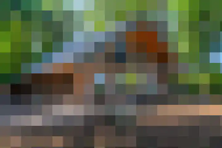 Tussenlaan 2 Norg