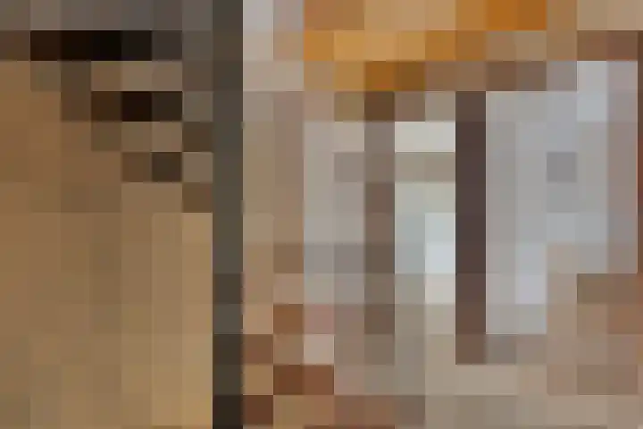 Tuterië 3 Wijhe thumbnail 18