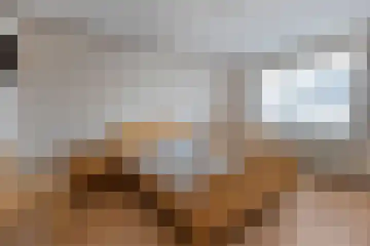 Tuterië 3 Wijhe thumbnail 19