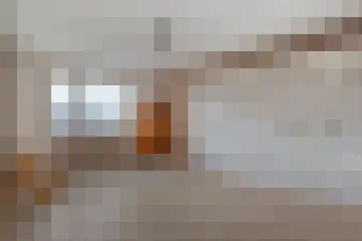 Tuterië 3 Wijhe thumbnail 21