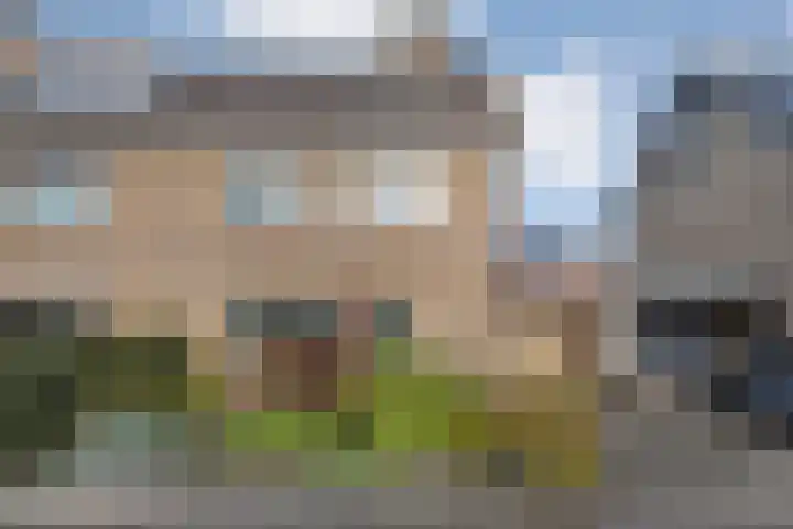 Tuterië 3 Wijhe foto 3