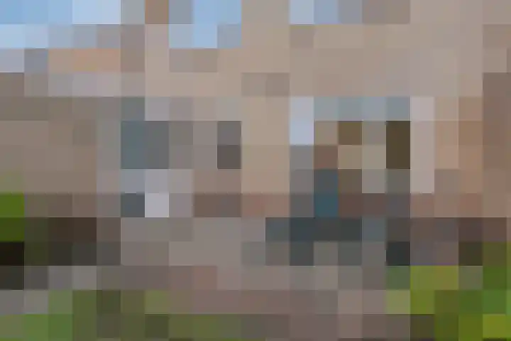 Tuterië 3 Wijhe thumbnail 35