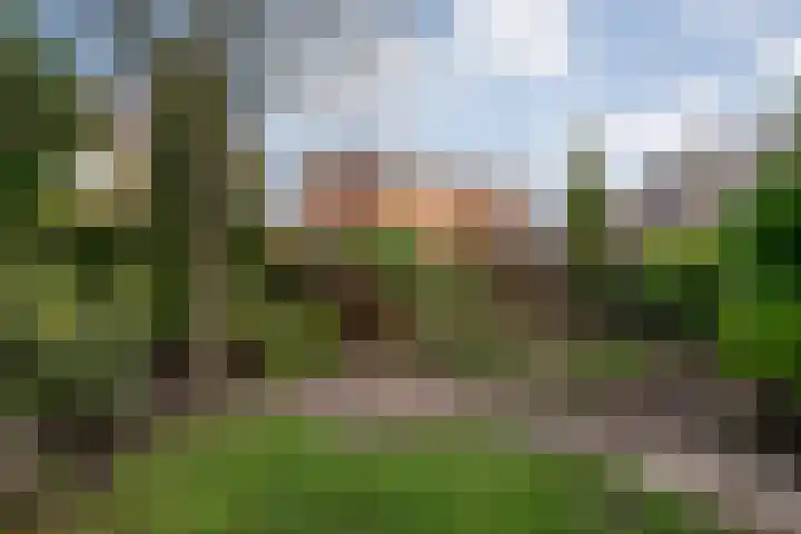 Tuterië 3 Wijhe thumbnail 36