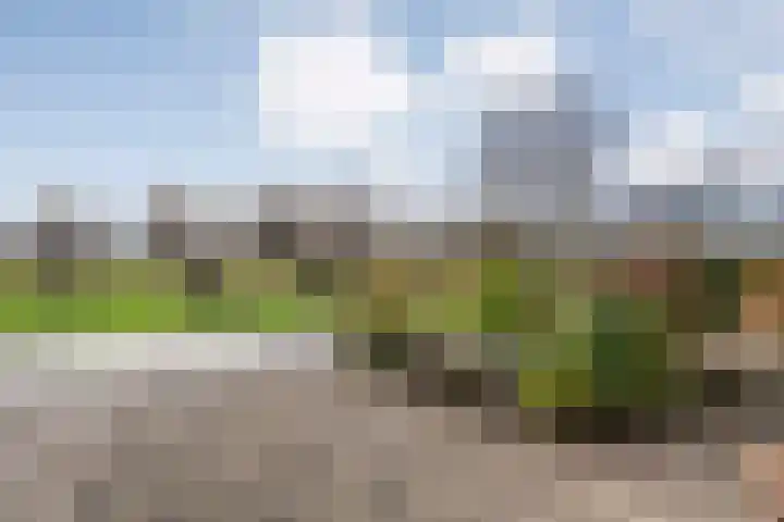 Tuterië 3 Wijhe thumbnail 5