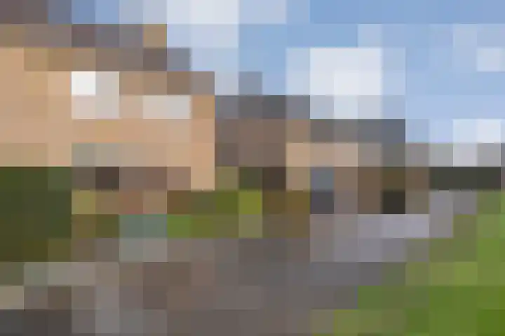 Tuterië 3 Wijhe thumbnail 7