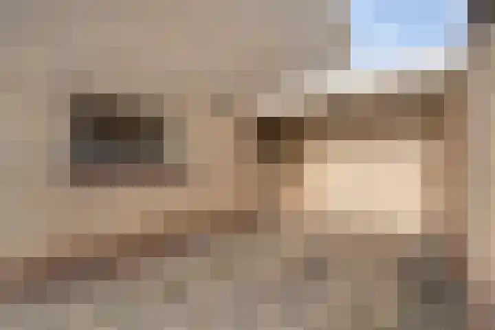 Tuterië 3 Wijhe thumbnail 8