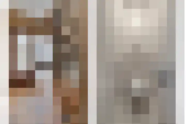 Tuterië 3 Wijhe thumbnail 9