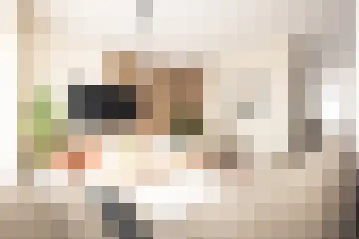 Tuwingastraat 2 Ten Post thumbnail 4