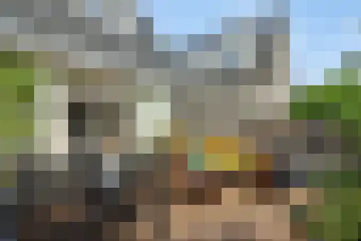 Tweeberg 48 Rosmalen thumbnail 21