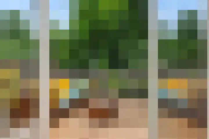Tweeberg 48 Rosmalen thumbnail 4