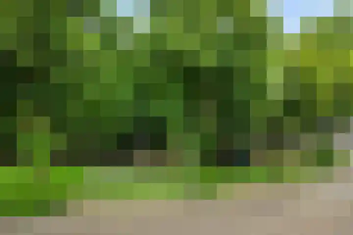 Tweeberg 48 Rosmalen thumbnail 44