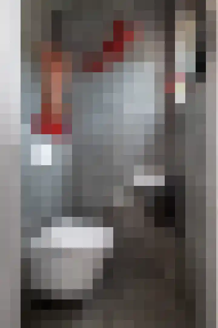 Tweede Parallelweg 8 d Tiel thumbnail 15