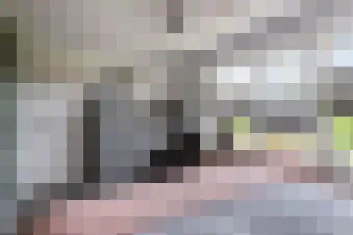 Tweede Parallelweg 8 d Tiel thumbnail 19