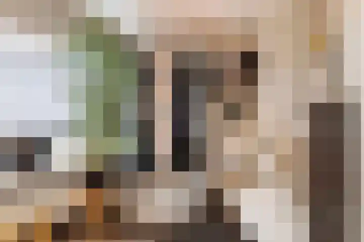 Tweede Parallelweg 8 d Tiel thumbnail 22