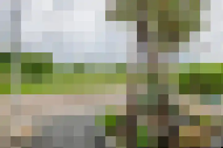 Tweede Parallelweg 8 d Tiel thumbnail 34