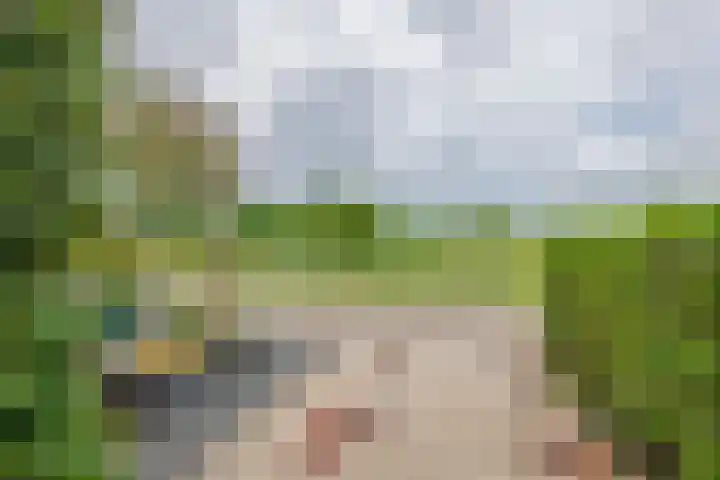 Tweede Parallelweg 8 d Tiel thumbnail 35