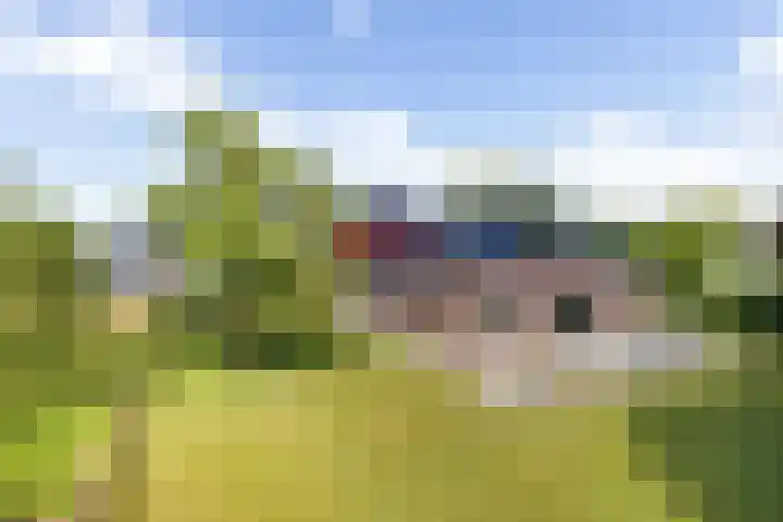 Tweehuizerweg 19 Spijk