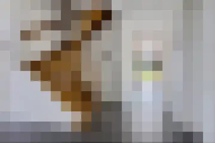 Tweehuizerweg 19 Spijk thumbnail 10