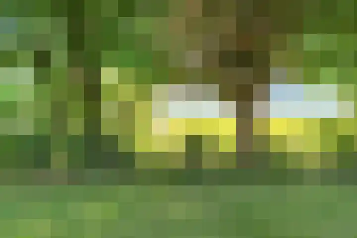 Tweehuizerweg 19 Spijk thumbnail 34