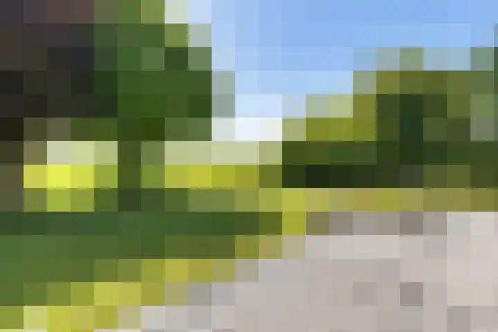 Tweehuizerweg 19 Spijk thumbnail 35