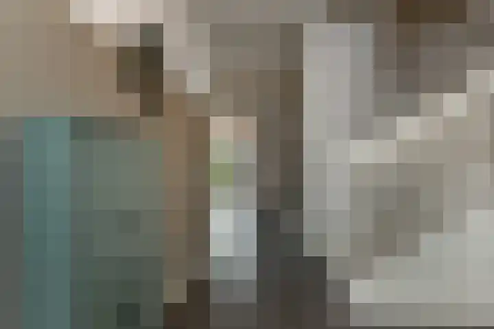 Tweelingen 1 Elst thumbnail 14