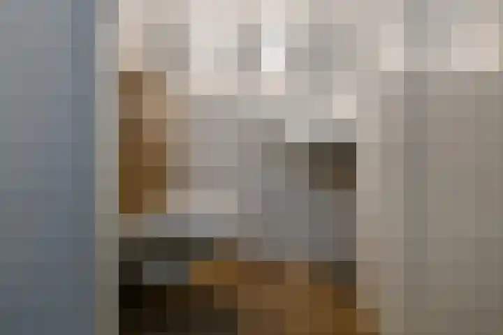 Tweelingen 1 Elst thumbnail 15