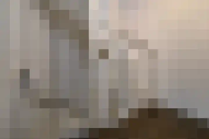 Tweelingen 1 Elst thumbnail 16