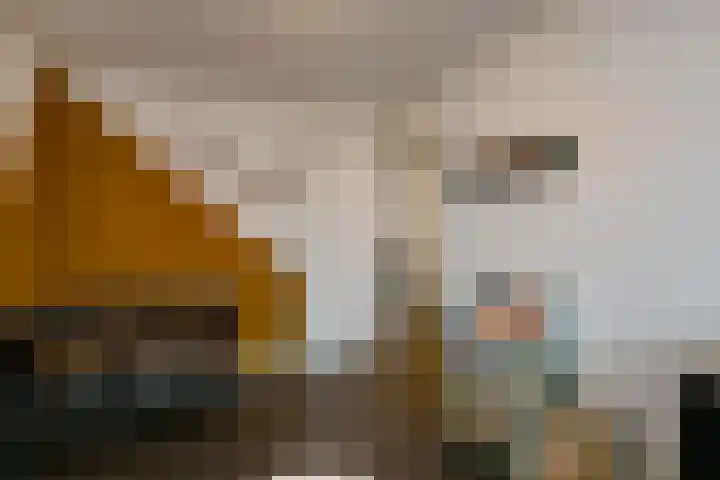 Tweelingen 1 Elst thumbnail 20