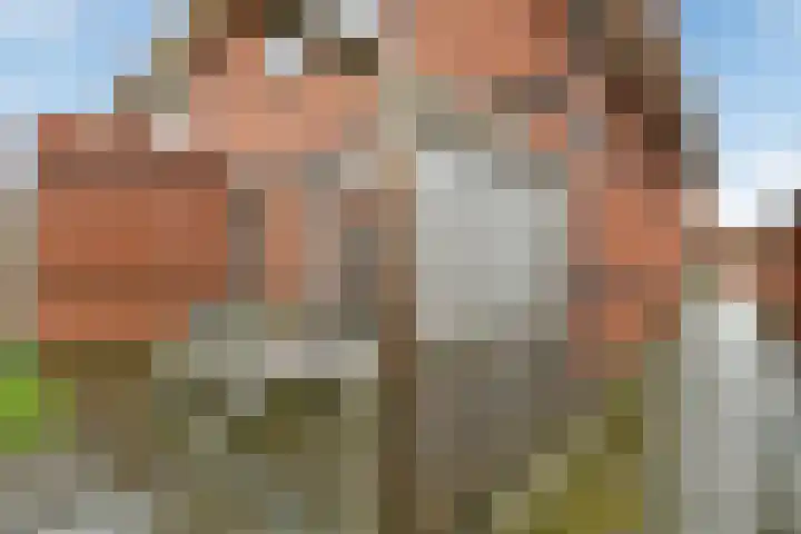 Tweelingen 1 Elst thumbnail 33
