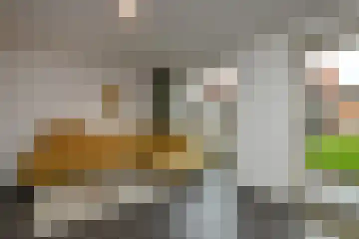 Tweelingen 1 Elst thumbnail 5