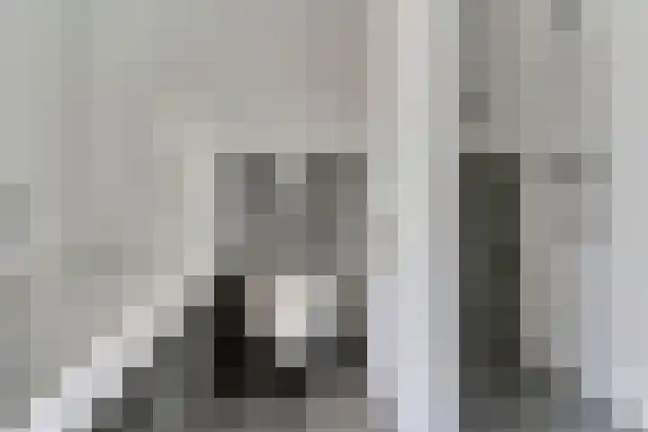 Tweelingen 2 Elst thumbnail 20