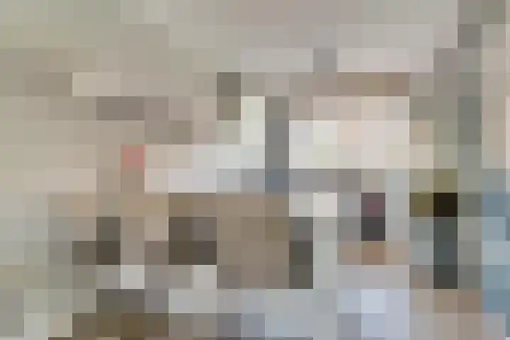 Tweelingen 2 Elst thumbnail 7