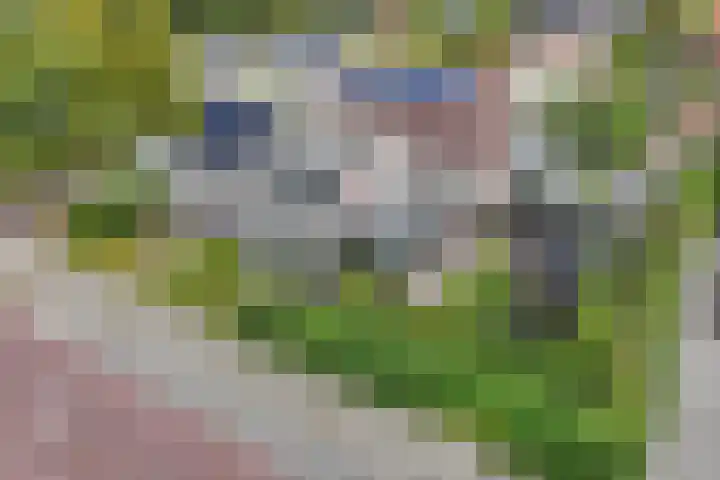 Tweeschaar 28 Bant thumbnail 10
