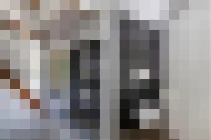 Tweeschaar 28 Bant thumbnail 16