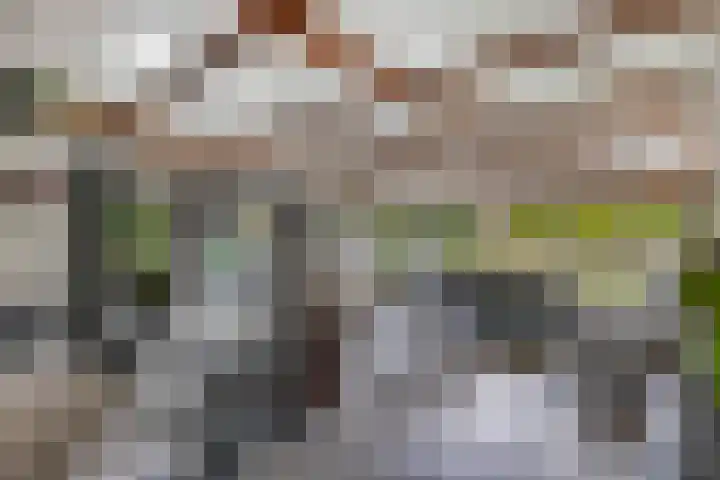 Tweeschaar 28 Bant thumbnail 18