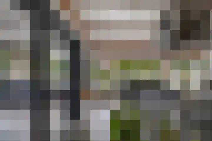 Tweeschaar 28 Bant thumbnail 20