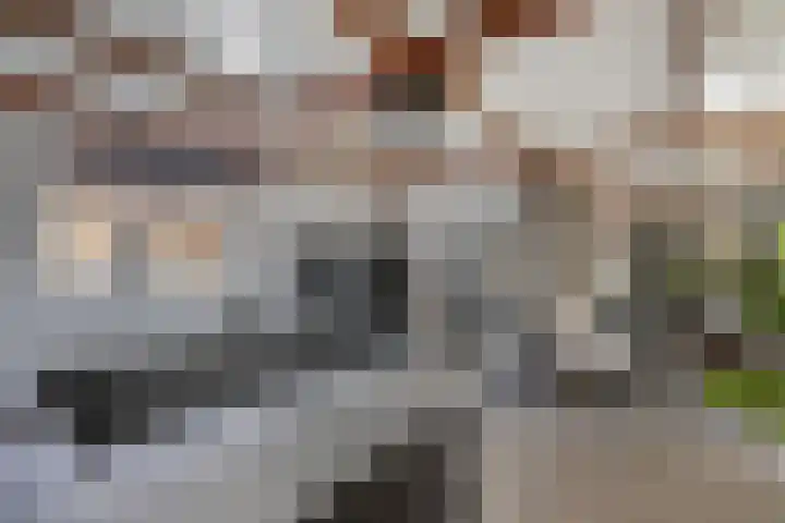 Tweeschaar 28 Bant thumbnail 23