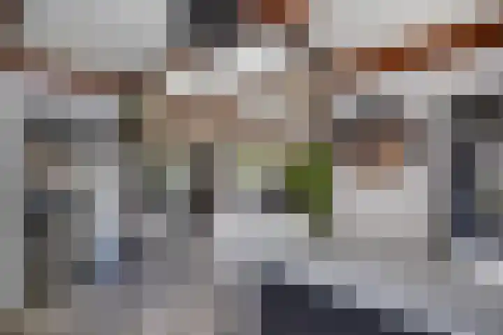 Tweeschaar 28 Bant thumbnail 24