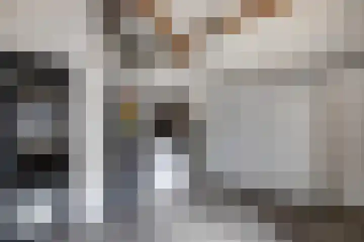 Tweeschaar 28 Bant thumbnail 27