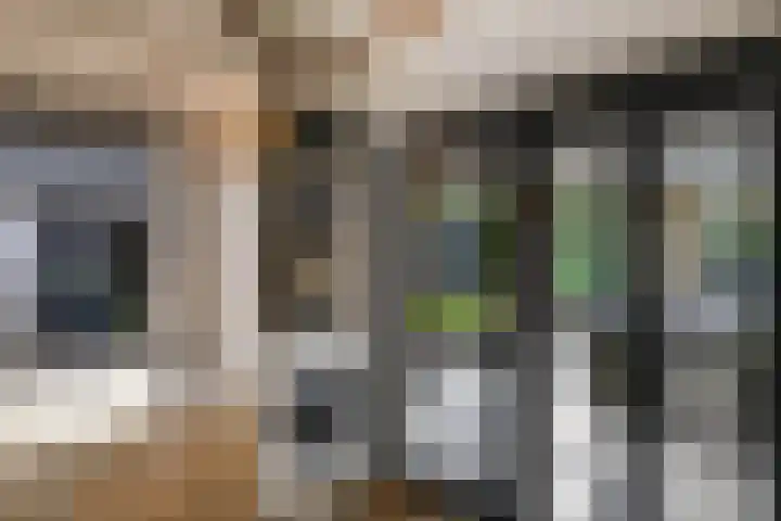 Tweeschaar 28 Bant thumbnail 28