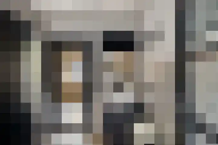 Tweeschaar 28 Bant thumbnail 29