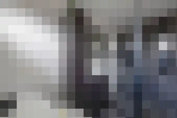 Tweeschaar 28 Bant thumbnail 34